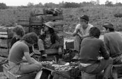 Hungary, Tiszakécske, Újbög, KISZ építőtábor, krumpliszedés., 1976, Urbán Tamás, hat, crate, potato, engineering camp, Fortepan #88786