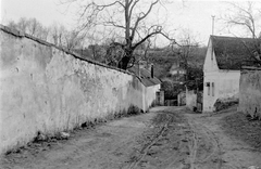 Hungary, Fertőrákos, Patak sor, bal oldalt a Püspöki Kastélyt határoló fal., 1946, Fortepan, village, dirt road, picture, fence, building, Fortepan #8885