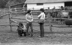 Magyarország, Hortobágy, Ruzsonyi Gábor, Horváth Péter, Stalter György fotográfusok., 1978, Urbán Tamás, fotózás, ménes, karám, guggolás, fotóriporter, hárman, Fortepan #89123