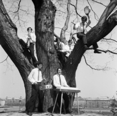 Magyarország, Tabán, Budapest I., a Várhegy déli lejtője, Kék Csillag Együttes a "Nagyfán"., 1969, Urbán Tamás, hangszer, mikrofon, fáramászás, Budapest, fán ülni, Fortepan #89274