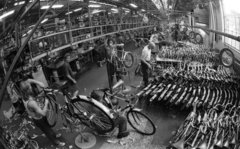 Hungary, Budapest XXI., Csepeli Kerékpár- és Varrógépgyár, kerékpárgyártó üzem., 1976, Urbán Tamás, bicycle, factory, Budapest, Fortepan #89377