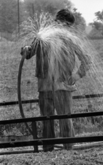 Hungary, Aszód, Művelődésügyi Minisztérium 2. sz. Fiúnevelő Intézete, kertészet., 1975, Urbán Tamás, hosing, Fortepan #89540