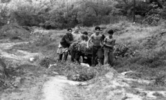 Magyarország, Aszód, Művelődésügyi Minisztérium 2. sz. Fiúnevelő Intézetének parkja., 1975, Urbán Tamás, szekér, félmeztelen, vetkőzés, Fortepan #89567