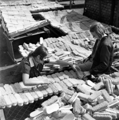 Hungary, Monor, Kefegyár., 1970, Urbán Tamás, women, brush, brush factory, Fortepan #89603