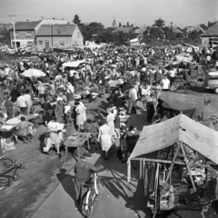 Hungary, Monor, Piac tér., 1971, Urbán Tamás, bicycle, sunshades, market, chest, Fortepan #89627