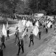 Magyarország, 1966, Urbán Tamás, zászló, fiatalság, Zuk-márka, felvonulás, Fortepan #89642