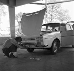 Magyarország, 1969, Urbán Tamás, Renault-márka, francia gyártmány, automobil, rendszám, Renault 10, szerelés, Fortepan #89656