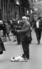 Hungary, Budapest V., Váci utca, a Régi posta utcától a Vörösmarty tér felé nézve., 1972, Urbán Tamás, dog, Budapest, walking the dog, Fortepan #89717