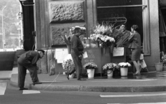 Hungary, Budapest V., Váci utca, balra a Piarista köz., 1972, Urbán Tamás, street view, genre painting, bucket, broom, florist, coat-stand, Budapest, label, peeking, Fortepan #89725