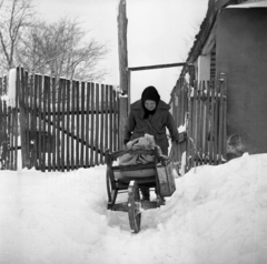 Magyarország, 1966, Urbán Tamás, hó, léckerítés, nő, zsák, talicska, fejkendő, szállítás, idős ember, idős ember, hókupac, Fortepan #89781