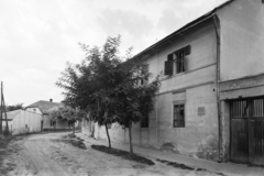 Magyarország, Szekszárd, Babits Mihály utca, Babits Mihály szülőháza., 1955, UVATERV, egy dunai hajóút, utcakép, emlékhely, Fortepan #91043