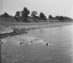 Magyarország, Solt, Révbérpuszta., 1955, UVATERV, egy dunai hajóút, folyópart, úszás, Fortepan #91074