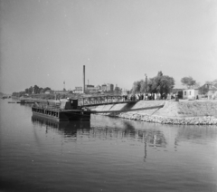 Magyarország, Budapest XXII., Budafok, hajóállomás a Dunáról nézve., 1955, UVATERV, egy dunai hajóút, Budapest, hajóállomás, Fortepan #91117