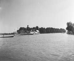 Magyarország, Duna, szemben a Lupa-sziget északi csúcsa előtt a Visegrád gőzhajó., 1955, UVATERV, egy dunai hajóút, hajó, csónak, gőzhajó, SZOT Visegrád/Visegrád/Imre hajó, Fortepan #91153