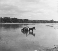 Magyarország, Szentendre, Szentendrei sziget a belváros felől nézve., 1955, UVATERV, egy dunai hajóút, folyó, ló, lovaskocsi, vödör, Duna, Fortepan #91157