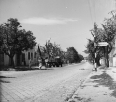 Magyarország, Dunabogdány, Kossuth Lajos út (11-es főút)., 1955, UVATERV, egy dunai hajóút, utcakép, Fortepan #91179