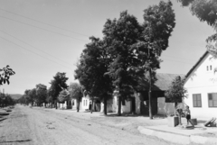 Magyarország, Kisoroszi, Széchenyi utca a Fő tértől a szigetcsúcs felé nézve., 1955, UVATERV, egy dunai hajóút, falu, kút, kerekeskút, Fortepan #91185