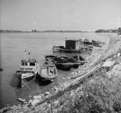 Magyarország, Gönyű, Duna-part, kishajókikötő., 1955, UVATERV, egy dunai hajóút, hajó, folyó, csónak, motorcsónak, Fortepan #91256