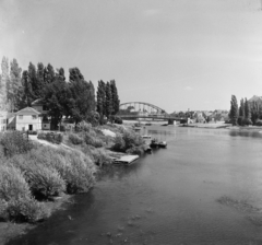 Magyarország, Győr, Mosoni Duna, szemben a Kossuth híd., 1955, UVATERV, egy dunai hajóút, híd, Beke József-terv, Fortepan #91263