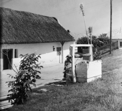 Magyarország, Szigetköz., 1955, UVATERV, egy dunai hajóút, kút, parasztház, zsúptető, Fortepan #91266