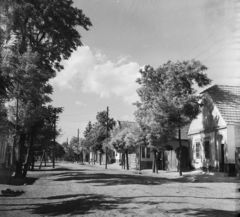 Magyarország, Szigetköz., 1955, UVATERV, egy dunai hajóút, utcakép, földút, falu, Fortepan #91274