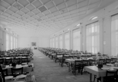 1954, UVATERV, dining room, place, table, chair, plate, Fortepan #91636