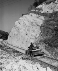 Magyarország, Bakony, a Cuha patak völgye, hajtány a Győr-Veszprém vasútvonal vágányán., 1962, UVATERV, vasúti hajtány, Fortepan #91807