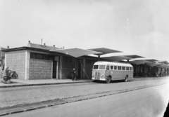 Magyarország, Székesfehérvár, Piac tér, autóbusz-pályaudvar., 1963, UVATERV, autóbusz, Ikarus-márka, MÁVAUT-szervezet, rendszám, Ikarus 30, buszpályaudvar, autóbuszállomás, Fortepan #91836