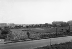 Magyarország, Budapest XIV., Mexikói út az Egressy út és Mogyoródi út között a vasúti töltésről nézve., 1963, UVATERV, Budapest, Fortepan #91842