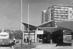 Magyarország, Budapest XI., Kosztolányi Dezső téri autóbusz-pályaudvar a Bukarest utcában., 1963, UVATERV, kutya, autóbusz, MÁVAUT-szervezet, Ikarus 55, állvány, rendszám, buszpályaudvar, zászlórúd, Budapest, autóbuszállomás, Félix Vilmos-terv, Fortepan #91849