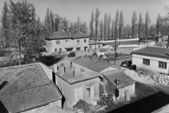 Magyarország,Balaton, Fonyód, vasútállomás., 1958, UVATERV, Moszkvics-márka, dzsip, GAZ M20 Pobjeda, Skoda 1101/1102 Tudor, vonat, Moszkvics 402, GAZ 69, Fortepan #91917