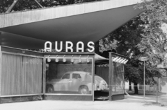 Magyarország, Városliget,Budapesti Ipari Vásár, Budapest XIV., az AURAS Gyár szervizfelszereléseket bemutató pavilonja., 1960, UVATERV, autómosás, Budapest, FSO Warszawa, Fortepan #91936