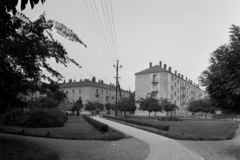 Magyarország, Baja, Bácska (Lenin) tér., 1960, UVATERV, park, lakótelep, utcakép, szocreál, Fortepan #91943