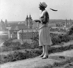 Magyarország, Eger, háttérben a Főszékesegyház, a Minorita templom, a Szeminárium Foglár utcai tömbje és a Ciszterci templom., 1929, Fortepan, templom, barokk-stílus, katolikus, Ferences rend, rokokó stílus, Fortepan #9199