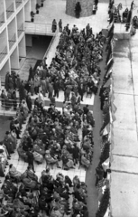 Magyarország, Ferihegyi (ma Liszt Ferenc) repülőtér, Budapest XVIII., a repülőtér átadásakor., 1950, UVATERV, Budapest, felülnézet, ünnepség, repülőtér, Fortepan #91993