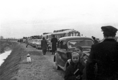 1951, UVATERV, autóbusz, automobil, Mercedes W136, Tatra 600 Tatraplan, EMW 340, Fortepan #92089