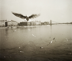 Magyarország, Budapest V., a Dunakorzó épületei és az Erzsébet híd a Széchenyi Lánchídról nézve., 1939, Ebner, eklektikus építészet, Budapest, Duna-híd, Kherndl Antal-terv, Czekelius Aurél-terv, Fortepan #92158