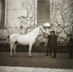 Hungary, Bábolna, Szapáry-kastély, Ménesudvar, háttérben a fedeles lovarda., 1939, Ebner, horse, soldier, Fortepan #92230