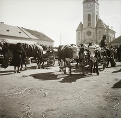 Hungary, Komarno, hetivásár a Jókai (Péczely) téren, háttérben a református templom., 1939, Ebner, church, cattle, fair, Fortepan #92240