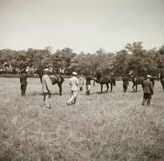 1939, Ebner, horse, Fortepan #92264