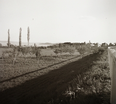 Hungary, Balatonfüred, Tihanyi-félsziget a 71-es főútról a város határától nézve., 1939, Ebner, Fortepan #92284