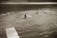 1939, Ebner, swimming, Fortepan #92291