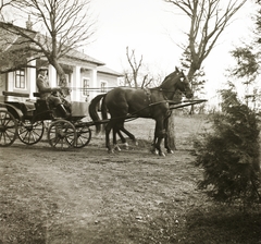 Magyarország, Szarvasgede, Kossuth út 119., eredetileg dr. Virava József kúriája, később Tanácsháza, ma Önkormányzat (Községháza)., 1940, Ebner, fogat, Fortepan #92326