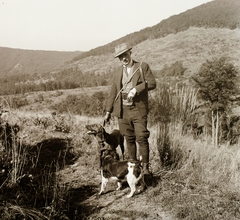 1939, Ebner, hat, dog, hunter, hunting, hillside, Fortepan #92394