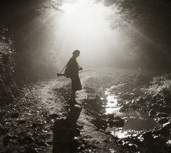 1939, Ebner, hunter, woman, stream, gun, backlight, Fortepan #92423