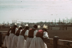 Magyarország, Budapest X., Albertirsai út, a Mezőgazdasági kiállítás lovaspályája., 1942, Fortepan, színes, népviselet, Budapest, Fortepan #92531