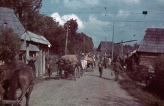 Románia,Erdély, Észak-Erdély, a felvétel a magyar csapatok bevonulása idején készült., 1940, Fortepan, színes, szekér, gémeskút, Fortepan #92561