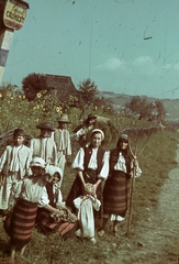 Románia,Erdély, Felsőkálinfalva, a felvétel a falu határánál készült., 1940, Fortepan, falu, színes, népviselet, napraforgó, helységnév tábla, Fortepan #92564