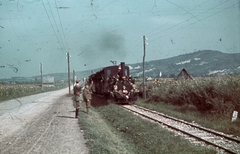 Románia,Erdély, a Máramarosi Sóvasútak Aknasugatagra tartó szerelvénye Farkasrév határában. A felvétel a magyar csapatok bevonulása idején készült., 1940, Fortepan, gőzmozdony, vasút, színes, integetés, Fortepan #92568