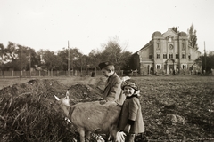 Hungary, Rákospalota, Budapest XV., Régi Fóti út 77., zsinagóga., 1943, Fortepan/Album002, synagogue, judaism, Budapest, Fortepan #92625